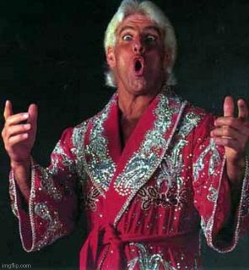 Ric Flair WOOOOOO | image tagged in ric flair woooooo | made w/ Imgflip meme maker