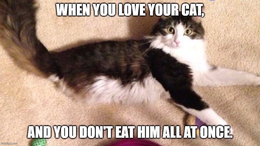 WHEN YOU LOVE YOUR CAT, AND YOU DON'T EAT HIM ALL AT ONCE. | image tagged in dark humor,funny | made w/ Imgflip meme maker