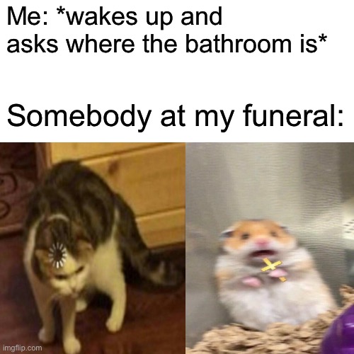 Back from the dead | Me: *wakes up and asks where the bathroom is*; Somebody at my funeral: | image tagged in death,confused,scared,memes | made w/ Imgflip meme maker