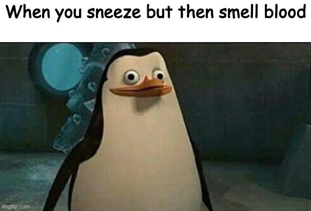 bloody | When you sneeze but then smell blood | image tagged in confused private penguin | made w/ Imgflip meme maker