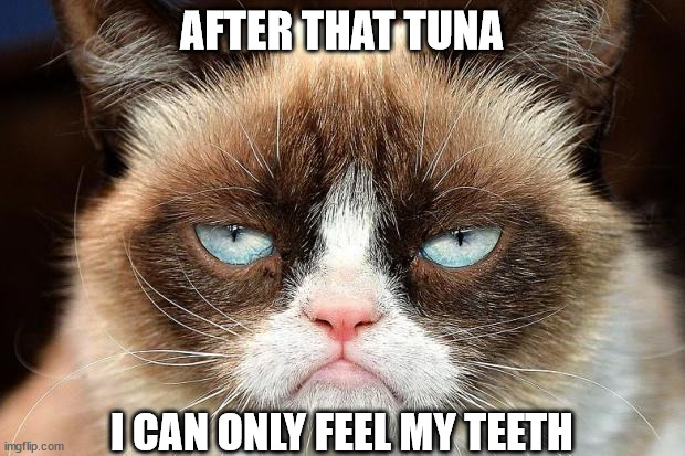 Grumpy Cat Not Amused Meme | AFTER THAT TUNA; I CAN ONLY FEEL MY TEETH | image tagged in memes,grumpy cat not amused,grumpy cat | made w/ Imgflip meme maker