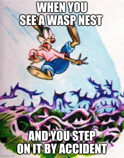 wasp patch | WHEN YOU SEE A WASP NEST; AND YOU STEP ON IT BY ACCIDENT | image tagged in please brer fox please don't throw me into the briar patch,memes | made w/ Imgflip meme maker