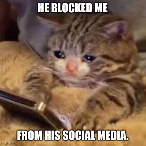 Sad Cat Looking At Phone | HE BLOCKED ME; FROM HIS SOCIAL MEDIA. | image tagged in sad cat looking at phone | made w/ Imgflip meme maker