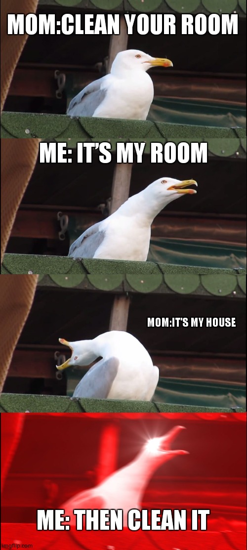 Inhaling Seagull Meme | MOM:CLEAN YOUR ROOM; ME: IT’S MY ROOM; MOM:IT’S MY HOUSE; ME: THEN CLEAN IT | image tagged in memes,inhaling seagull | made w/ Imgflip meme maker