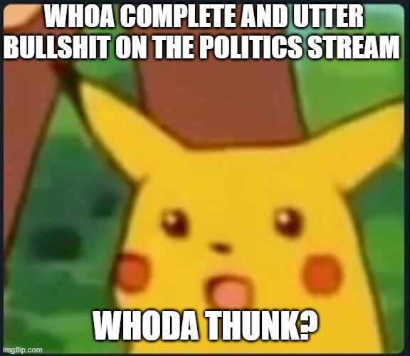 Surprised Pikachu | WHOA COMPLETE AND UTTER BULLSHIT ON THE POLITICS STREAM WHODA THUNK? | image tagged in surprised pikachu | made w/ Imgflip meme maker