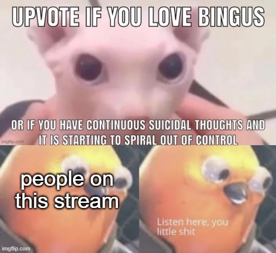 okay now I'm going | people on this stream | image tagged in listen here you little shit bird | made w/ Imgflip meme maker