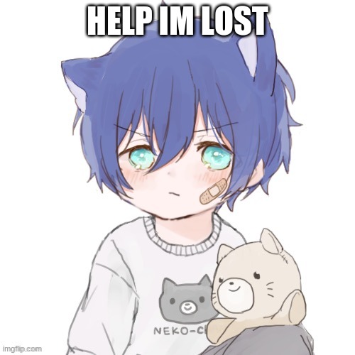 help yukki | HELP IM LOST | image tagged in yukki | made w/ Imgflip meme maker