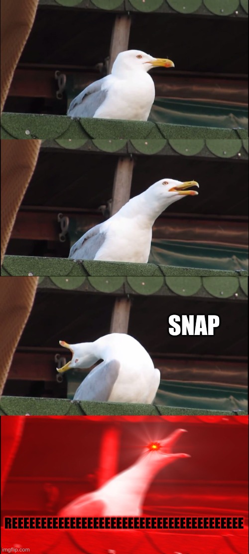 my time to shin | SNAP; REEEEEEEEEEEEEEEEEEEEEEEEEEEEEEEEEEEEEEEE | image tagged in memes,inhaling seagull | made w/ Imgflip meme maker