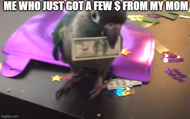 IDK what to call this | ME WHO JUST GOT A FEW $ FROM MY MOM | image tagged in funny memes | made w/ Imgflip meme maker