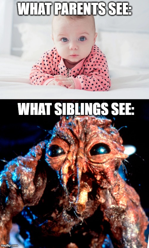 Before you say it, yes, that will haunt me forever | WHAT PARENTS SEE:; WHAT SIBLINGS SEE: | image tagged in is that gollum | made w/ Imgflip meme maker