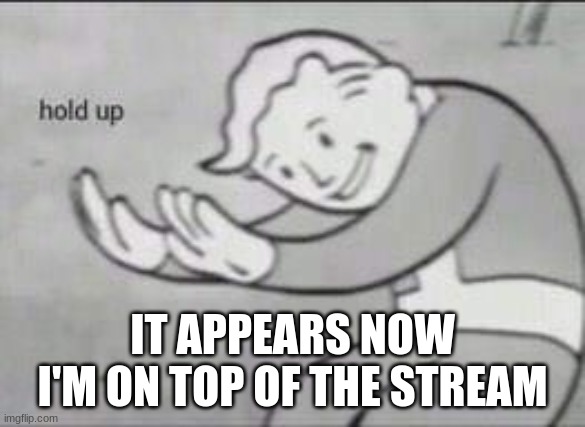 Fallout Hold Up | IT APPEARS NOW I'M ON TOP OF THE STREAM | image tagged in fallout hold up | made w/ Imgflip meme maker