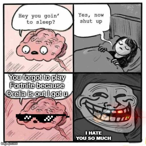 brain roasted owner | You forgot to play Fortnite because Orelia is out I got u; I HATE YOU SO MUCH | image tagged in hey you going to sleep | made w/ Imgflip meme maker