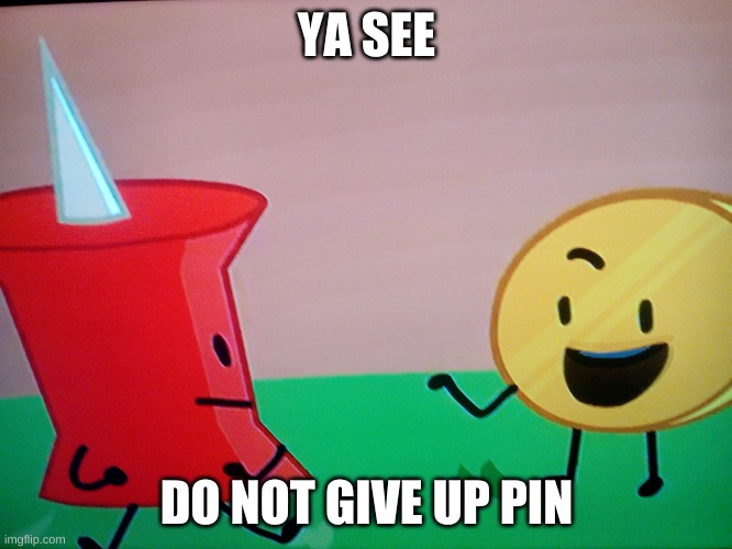 Coiny's Advice To Pin | YA SEE; DO NOT GIVE UP PIN | image tagged in pin and coiny in basket | made w/ Imgflip meme maker