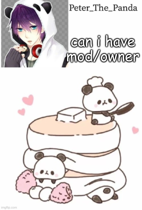 idc i wont throw a fit if i dont get it |  can i have mod/owner | image tagged in peter_the_panda template | made w/ Imgflip meme maker
