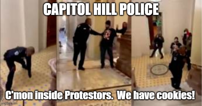 Capito Hill Police on Jan 6 | CAPITOL HILL POLICE; C'mon inside Protestors.  We have cookies! | image tagged in capito hill police,jan 6,protest | made w/ Imgflip meme maker