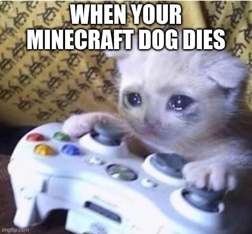 Sad | WHEN YOUR MINECRAFT DOG DIES | image tagged in sad gaming cat | made w/ Imgflip meme maker