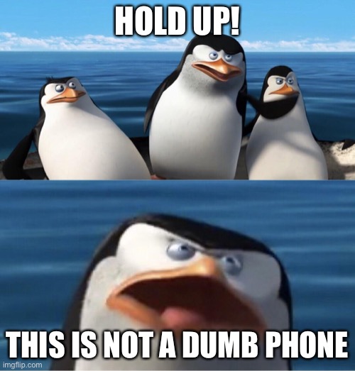 Wouldn't that make you | HOLD UP! THIS IS NOT A DUMB PHONE | image tagged in wouldn't that make you | made w/ Imgflip meme maker
