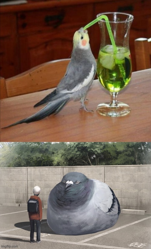 image tagged in diy unsee juice meme,beeg birb,mutant,transformation | made w/ Imgflip meme maker