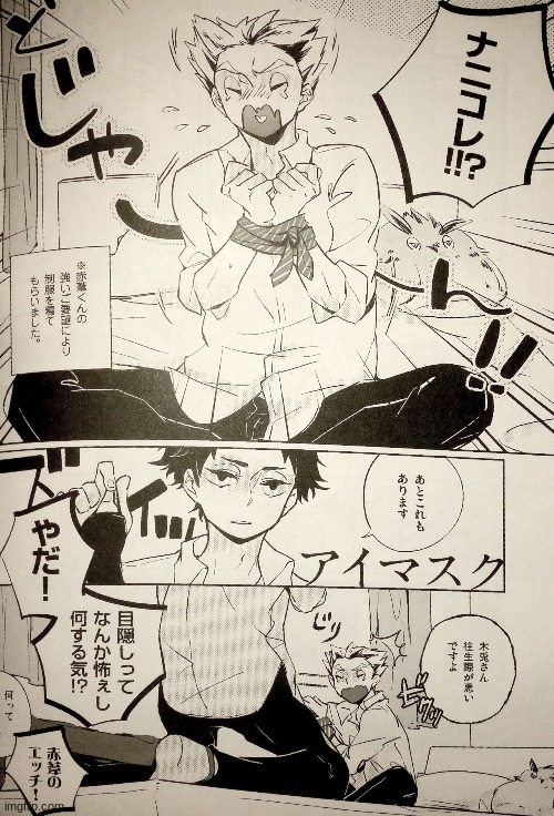 Poor owl plush- | made w/ Imgflip meme maker