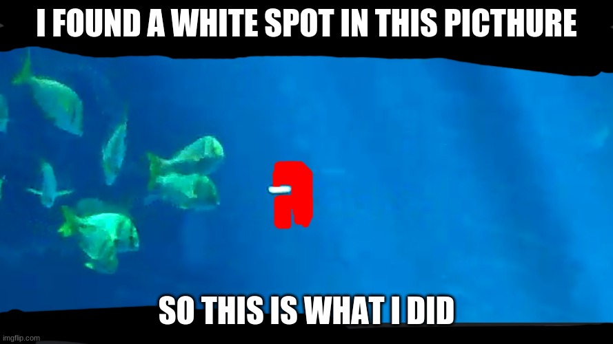 I FOUND A WHITE SPOT IN THIS PICTHURE; SO THIS IS WHAT I DID | image tagged in among us,fish,water,sus | made w/ Imgflip meme maker