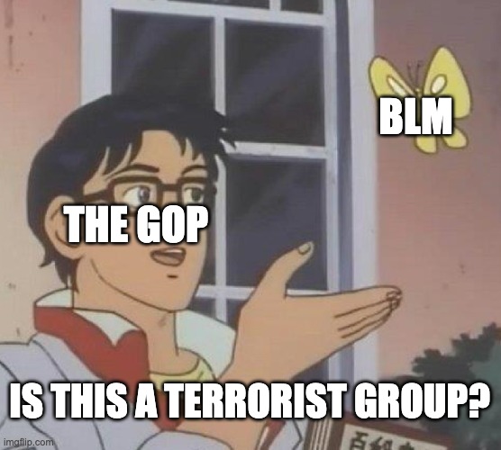 Is This A Pigeon | BLM; THE GOP; IS THIS A TERRORIST GROUP? | image tagged in memes,is this a pigeon | made w/ Imgflip meme maker