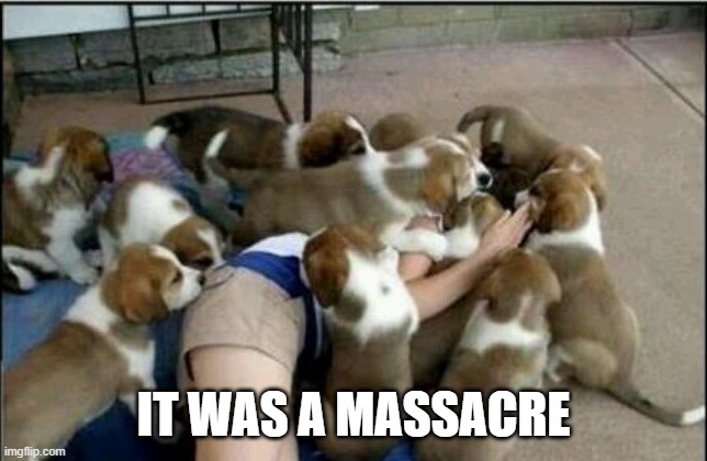 Dogpile | IT WAS A MASSACRE | image tagged in dogpile | made w/ Imgflip meme maker