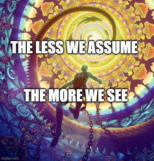 Conscious Universe | THE LESS WE ASSUME; THE MORE WE SEE | image tagged in conscious universe | made w/ Imgflip meme maker