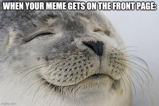 I was super happy when this happened | WHEN YOUR MEME GETS ON THE FRONT PAGE: | image tagged in memes,satisfied seal,fun stream,front page | made w/ Imgflip meme maker
