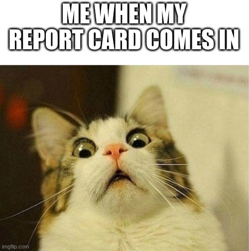 report card is VeRy ScArY | ME WHEN MY REPORT CARD COMES IN | image tagged in memes,scared cat | made w/ Imgflip meme maker