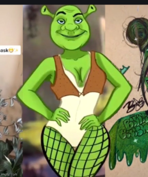 thicc shrek | image tagged in thicc shrek | made w/ Imgflip meme maker
