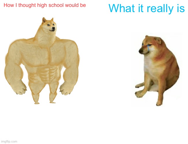 Buff Doge vs. Cheems Meme | How I thought high school would be; What it really is | image tagged in memes,buff doge vs cheems | made w/ Imgflip meme maker
