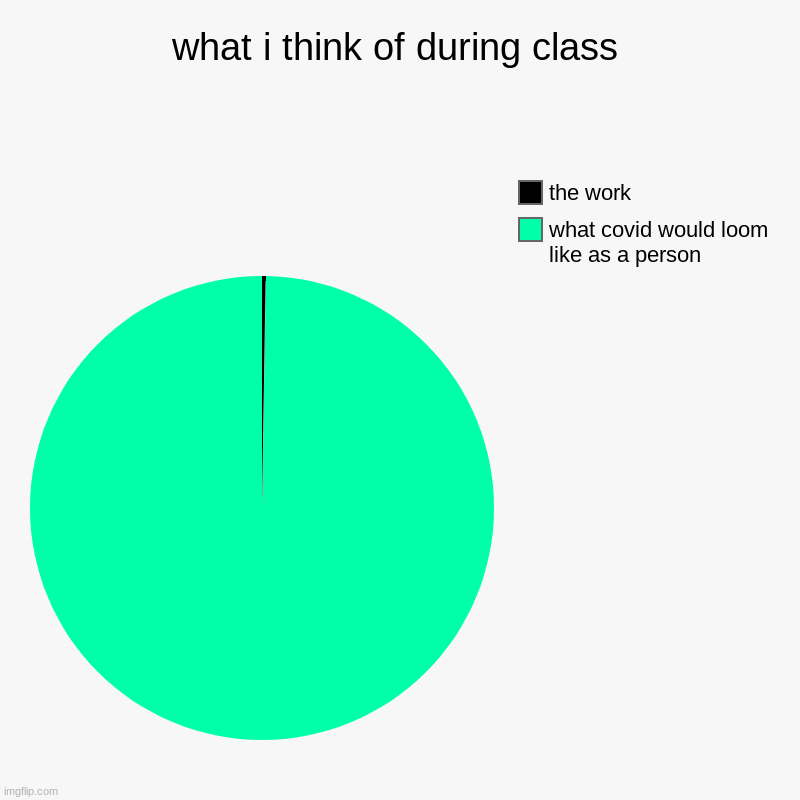 charts | what i think of during class | what covid would loom like as a person, the work | image tagged in charts,pie charts | made w/ Imgflip chart maker