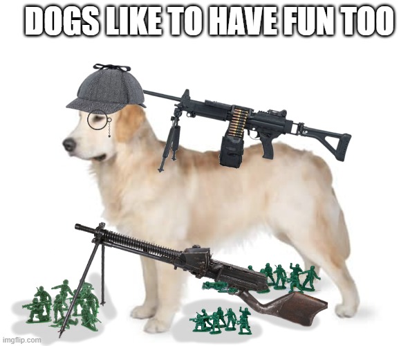 Dog War | DOGS LIKE TO HAVE FUN TOO | image tagged in dog,war,army men | made w/ Imgflip meme maker