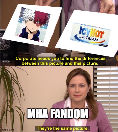 mha meme | MHA FANDOM | image tagged in there the same image | made w/ Imgflip meme maker