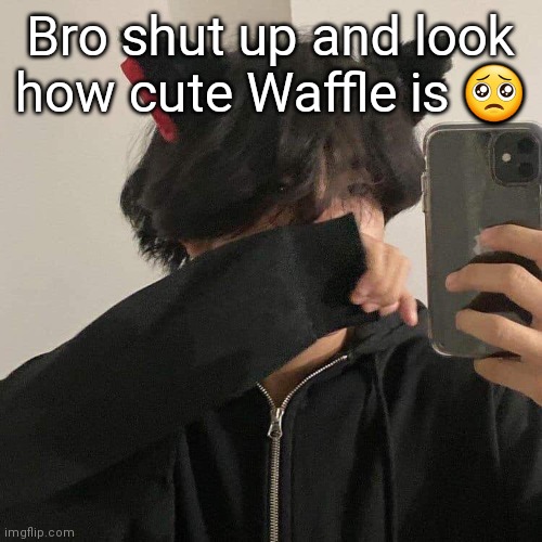 Bro shut up and look how cute Waffle is 🥺 | made w/ Imgflip meme maker