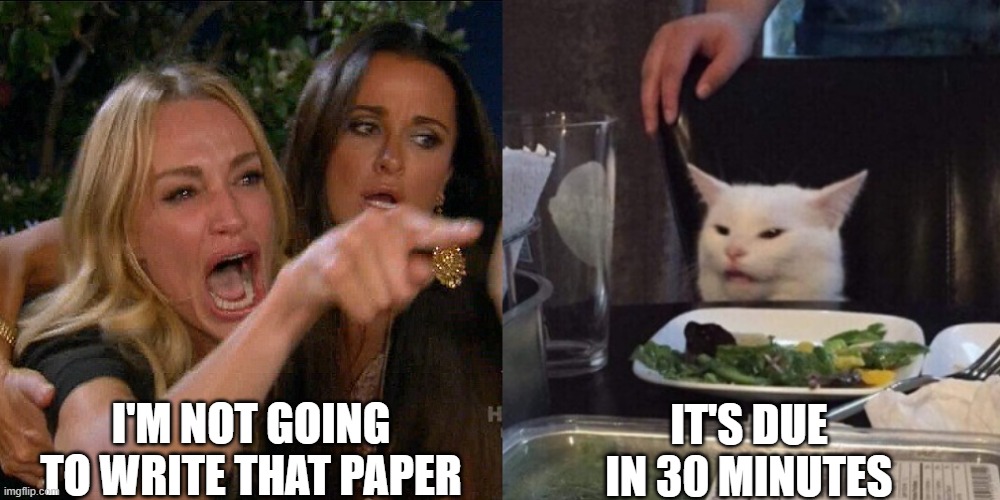 Cat School Meme | I'M NOT GOING TO WRITE THAT PAPER; IT'S DUE IN 30 MINUTES | image tagged in woman yelling at cat,school cat,cat memes,schoolwork meme,exams,paper due | made w/ Imgflip meme maker