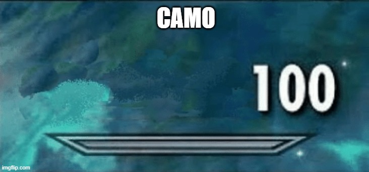 Skyrim skill meme | CAMO | image tagged in skyrim skill meme | made w/ Imgflip meme maker