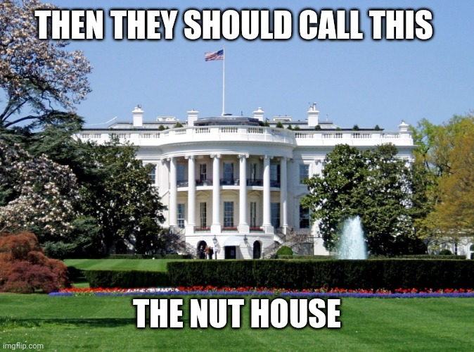 White House | THEN THEY SHOULD CALL THIS THE NUT HOUSE | image tagged in white house | made w/ Imgflip meme maker