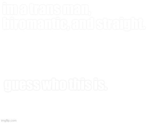 Blank White Template | im a trans man, biromantic, and straight. guess who this is. | image tagged in blank white template | made w/ Imgflip meme maker