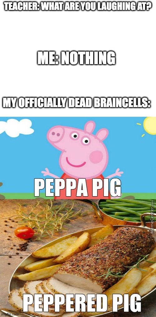 Im PePpA PiG | TEACHER: WHAT ARE YOU LAUGHING AT? ME: NOTHING; MY OFFICIALLY DEAD BRAINCELLS: | image tagged in blank white template,peppa pig,lol,what can i say except aaaaaaaaaaa,memes,funny | made w/ Imgflip meme maker