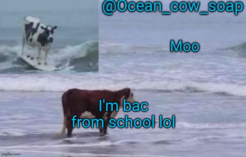 Yayyy yachi's online :D | I'm bac from school lol | image tagged in soap's ocean cow temp ty yachi | made w/ Imgflip meme maker