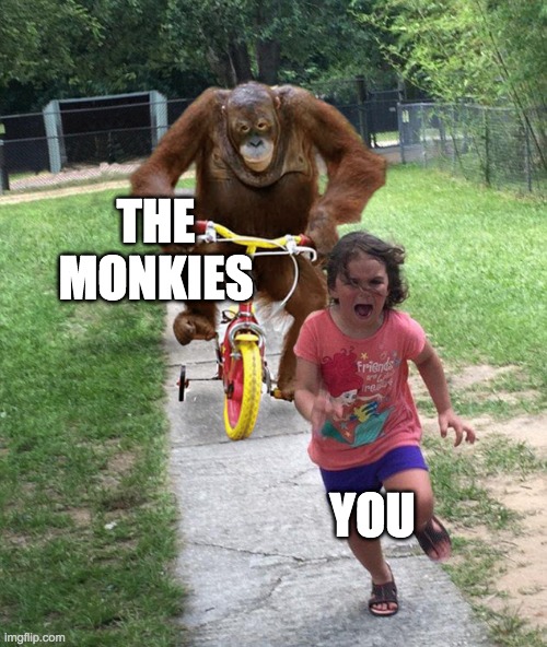 Orangutan chasing girl on a tricycle | THE MONKIES YOU | image tagged in orangutan chasing girl on a tricycle | made w/ Imgflip meme maker