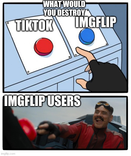 who would you destroy? comment down below! | WHAT WOULD YOU DESTROY; TIKTOK; IMGFLIP; IMGFLIP USERS | image tagged in eggman button,would you rather | made w/ Imgflip meme maker