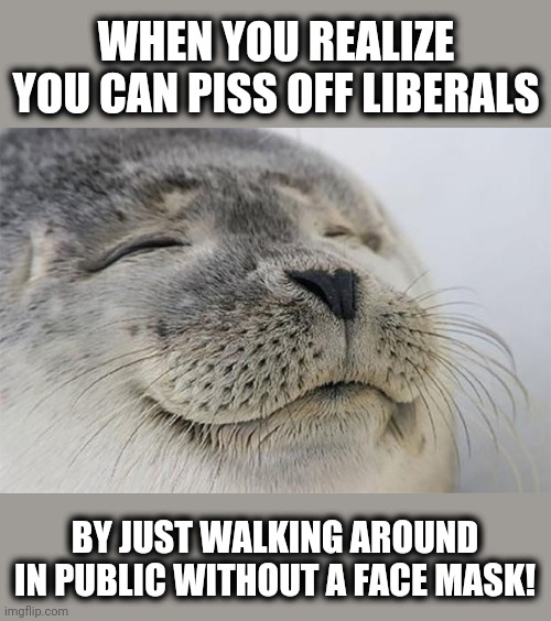Me, in the Walmart today | WHEN YOU REALIZE YOU CAN PISS OFF LIBERALS; BY JUST WALKING AROUND IN PUBLIC WITHOUT A FACE MASK! | image tagged in memes,satisfied seal,liberals,face mask | made w/ Imgflip meme maker