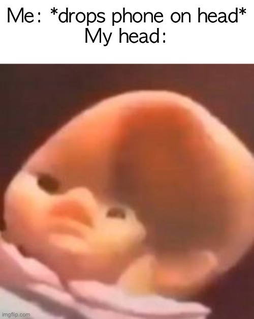 Me: *drops phone on head*
My head: | made w/ Imgflip meme maker
