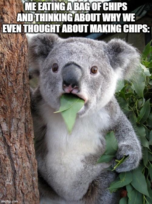 Surprised Koala |  ME EATING A BAG OF CHIPS AND THINKING ABOUT WHY WE EVEN THOUGHT ABOUT MAKING CHIPS: | image tagged in memes,surprised koala | made w/ Imgflip meme maker