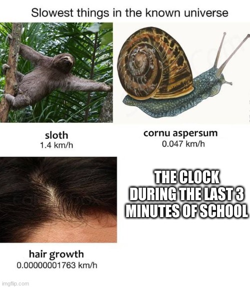 Slowest things | THE CLOCK DURING THE LAST 3 MINUTES OF SCHOOL | image tagged in slowest things | made w/ Imgflip meme maker