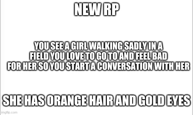 white background | NEW RP; YOU SEE A GIRL WALKING SADLY IN A FIELD YOU LOVE TO GO TO AND FEEL BAD FOR HER SO YOU START A CONVERSATION WITH HER; SHE HAS ORANGE HAIR AND GOLD EYES | image tagged in white background | made w/ Imgflip meme maker