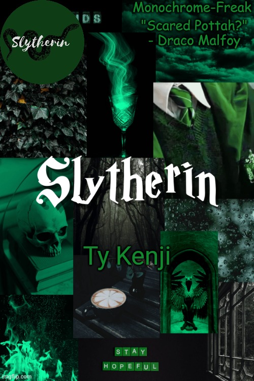 Slytherin temp for monochrome freak | Ty Kenji | image tagged in slytherin temp for monochrome freak | made w/ Imgflip meme maker