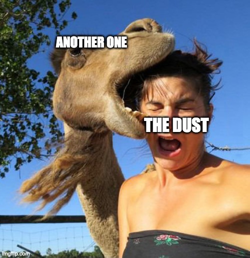 camel bite | ANOTHER ONE; THE DUST | image tagged in camel bite | made w/ Imgflip meme maker
